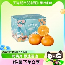 广西柑橘沃柑5斤大果