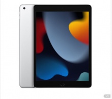 Apple iPad 10.2英寸平板电脑 第9代 256GB