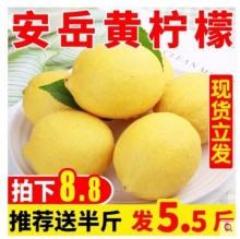 新鲜安岳黄柠檬5斤
