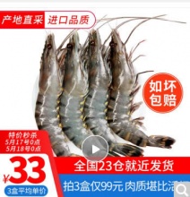 味库 越南活冻黑虎虾盒装 大号 毛重约600克 12-20只