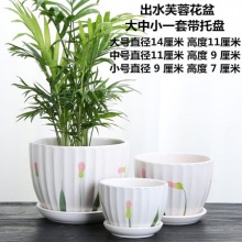 青胜 创意个性陶瓷花盆3件套