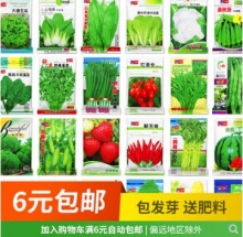 清州镇 四季蔬菜种子