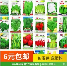 四季蔬菜菜种种子*10包
