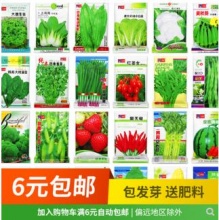 清州镇 四季蔬菜种子