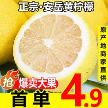 华秧 安岳黄柠檬鲜果500g