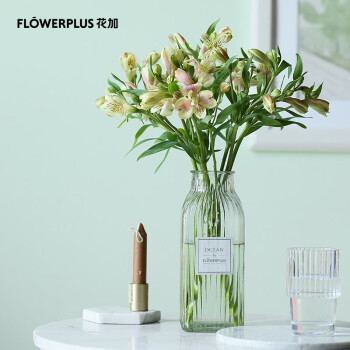 花加 flowerplus 单品鲜花六出花10枝