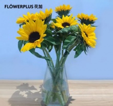 FlowerPlus花加2款鲜花