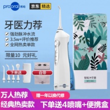 博皓 冲牙器水牙线 琉璃蓝标配2支喷嘴