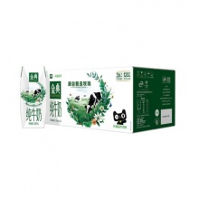 伊利金典纯牛奶 250ml*24盒