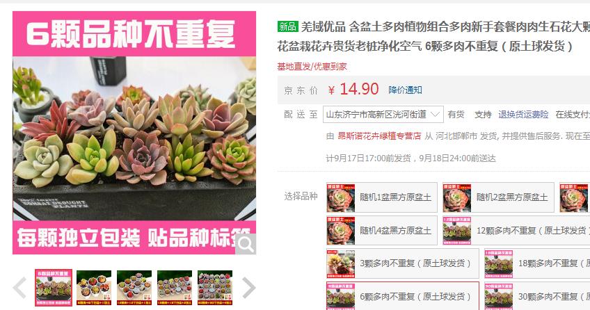 【4.9】羌域优品 多肉植物6颗多肉不重复（原土球发货）