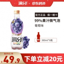 元气森林 苏打气泡水 青苹果味 480ml*12瓶