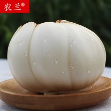农兰 甘肃兰州百合250g