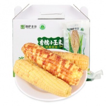 京觅 云南香糯小玉米 粘玉米棒净重2kg