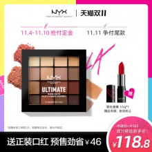NYX  16色眼影盘大地盘