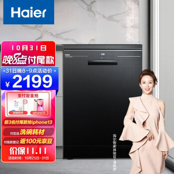 Haier 海尔 EW139166BK 洗碗机 13套