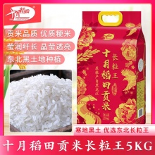 十月稻田 贡米长粒王 长粒香 5kg