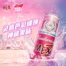 百威果味啤酒310ml*10听