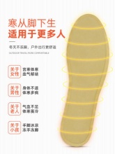 萱草     发热鞋垫暖足贴10片装 ​​​​