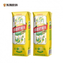 东鹏饮料由柑柠檬茶250ml*18盒