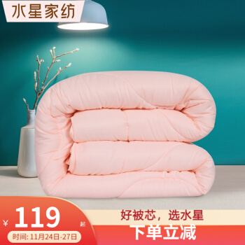 水星家纺  七孔抗菌被芯200×230cm