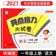 2021版亮点给力大试卷