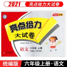 2021版亮点给力大试卷