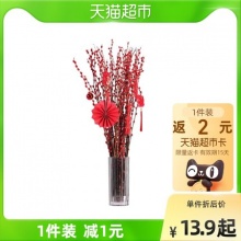迷糊妞  染色银柳真干花鲜枝 10支