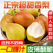 万荣苹果 正宗红香酥梨5斤