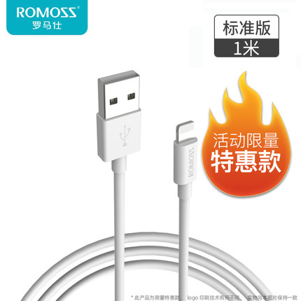 罗马仕 