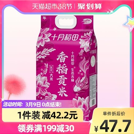 十月稻田 香稻贡米5kg