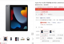  【2499】Apple iPad 10.2英寸平板电脑 21年款 64GB 