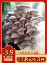 昔田小舍 蘑菇种植包3包