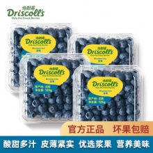 Driscoll's怡颗莓 云南蓝莓约125g/盒 中果4盒