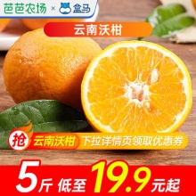 盒马鲜生云南沃柑中果5斤装