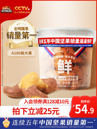 三只松鼠 罐装紫皮腰果500g