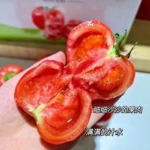 普罗旺斯水果西红柿5斤装 顺丰包邮