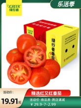 绿行者 红又红番茄5斤
