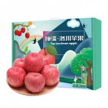 陕西洛川红富士苹果 15枚70mm鉴赏级苹果礼盒
