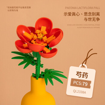 哲高 积木拼装花束