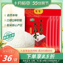 十月稻田 长粒香米5kg*4袋