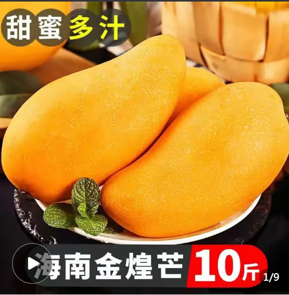 海南  金煌芒果10斤
