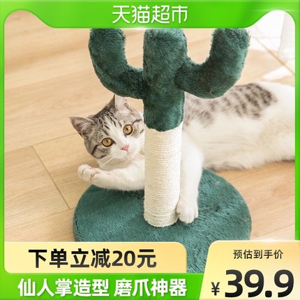 伊丽小型仙人掌猫爬架