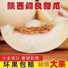 正宗头茬阎良甜瓜5斤带箱