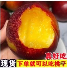 【26.9】黄肉油桃5斤应季大桃子
