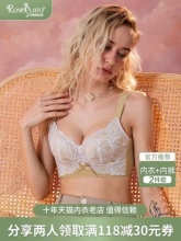 玫瑰柏拉图无钢圈内衣