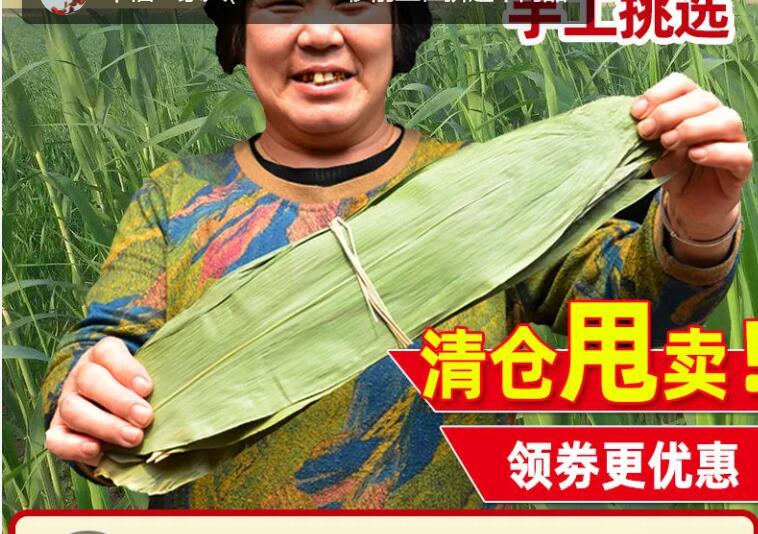 【9.97】家用端午精品大箬叶粽叶 100片