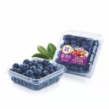 Joyvio佳沃 云南蓝莓 4盒装 125g/盒 