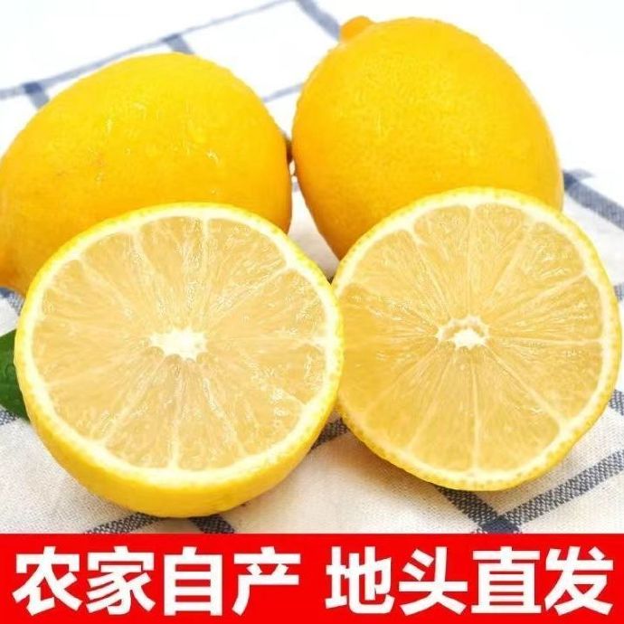 四川安岳特产新鲜黄柠檬5斤