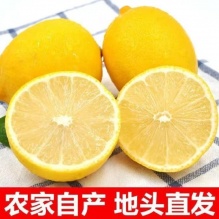 四川安岳特产新鲜黄柠檬5斤