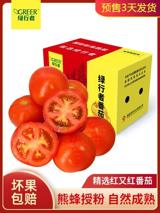 绿行者 红又红番茄5斤